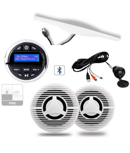 Radio FM DAB Bluetooth + HP + Antenne + Prise USB/jack