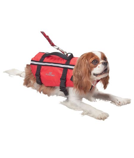 Gilet pour chiens - M