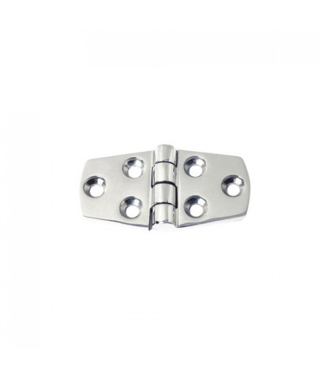 Charnière saillante 5mm AISI316 38x100 mm -