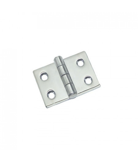 Charnière saillante 5mm AISI316 50x50 mm -