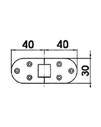 Charnière à moulage 80 x 30 mm -