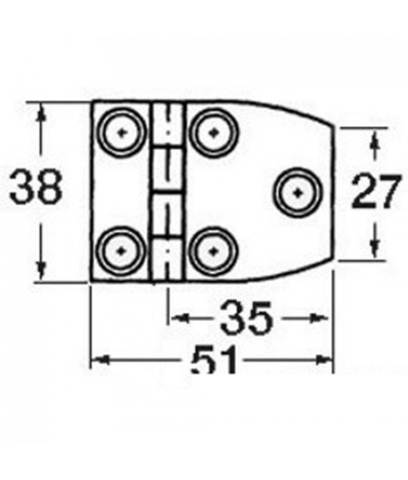 Charnière inox av. 51x38 trap. -
