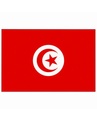 Pavillon Tunisie 20 x 30 cm -