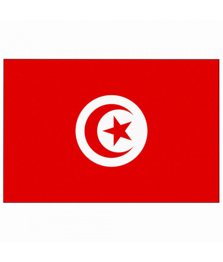 Pavillon Tunisie 20 x 30 cm -