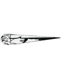 Epissoir inox - petit modèle - 170mm