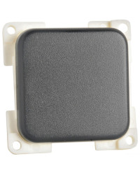 Platine couvre-vis triple gris foncé -