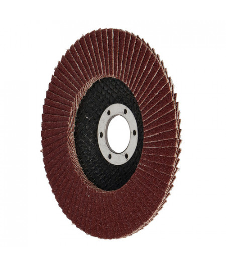 Disque à lamelle - 125 mm - grain 100 - En blister