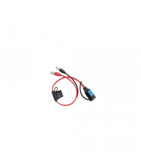VICTRON Connecteur à oeillet M8 pour chargeur Blue Smart