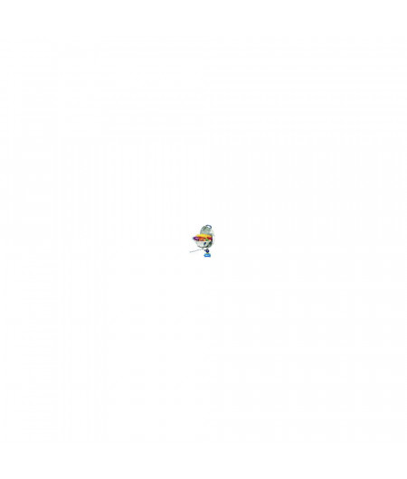 MAGMA Marine Kettle barbecue à gaz 17''