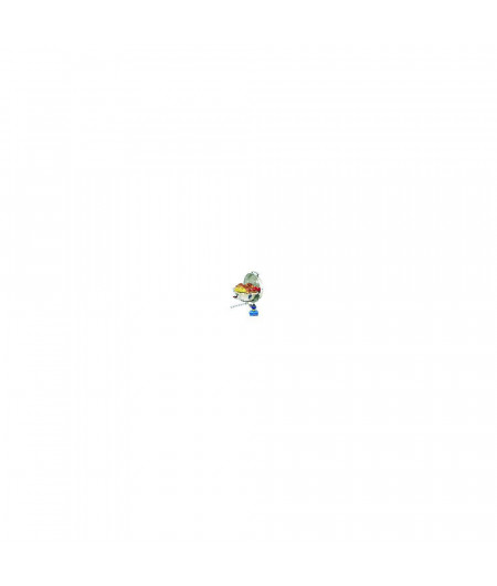 MAGMA Marine Kettle 2 barbecue à gaz 17''