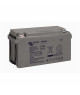 VICTRON Batterie AGM 12V - 60Ah