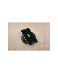 SCANSTRUT Chargeur à induction sur socle