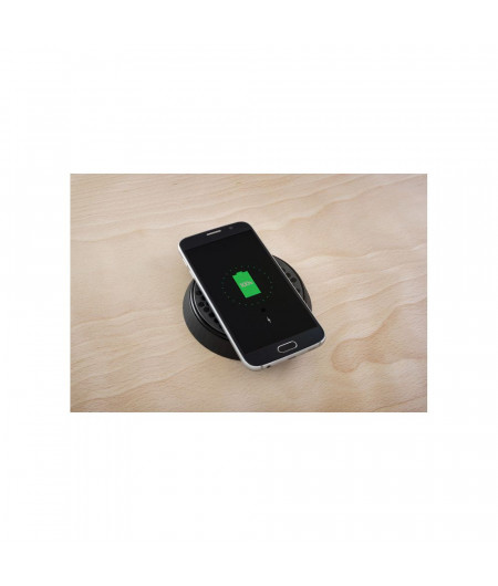 SCANSTRUT Chargeur à induction sur socle