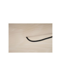 SCANSTRUT Chargeur à induction sur socle