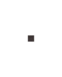 FENDRESS Chaussette PB sphérique A1(Ø29 cm)-anthracite (x2)