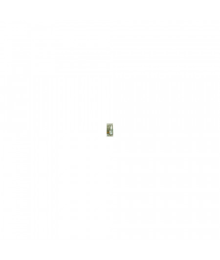 SOROMAP Mastic silicone tube 75mL blanc