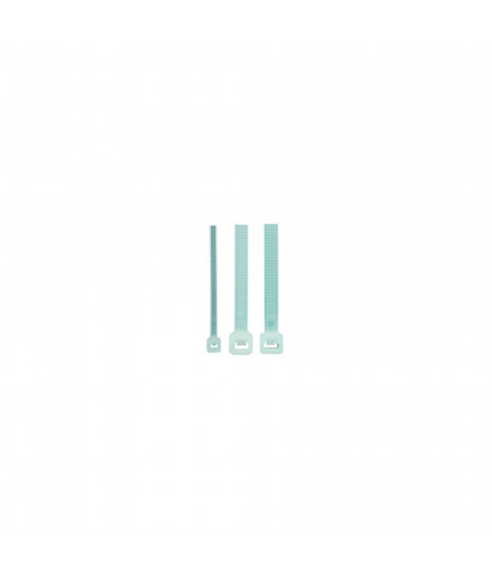 Attaches rapides rilsan 200x2,5mm les 100