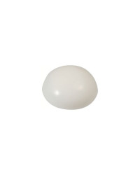 MARINOX Cache blanc pour vis TF 4 et 5 les 5