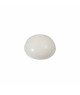 MARINOX Cache blanc pour vis TF 4 et 5 les 5