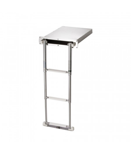 TREM Echelle encastrable 3 marches