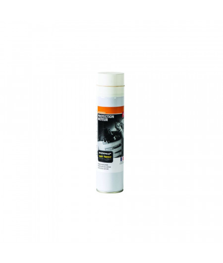 SOROMAP SOROPROTECT Aérosol 400ML