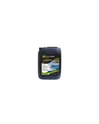 G&S Traitement intégral Essence 5L
