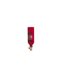 ANAF Extincteur automatique 2 kg poudre abc