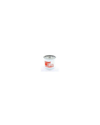 FLEETGUARD Filtre carburant vetus FF167a