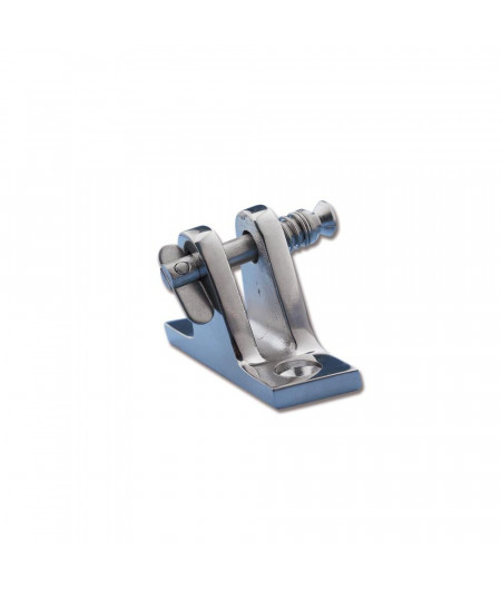 TREM Platine inox d'articulation inclinée avec axe pour bim