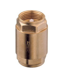 GUIDI Clapet anti-retour 3/4'' VRAC