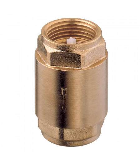 GUIDI Clapet anti-retour 3/4'' VRAC
