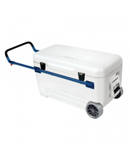 IGLOO Sunset Glide 110