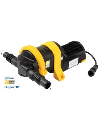 WHALE Gulper IC + collecteur 2 voies 24 V