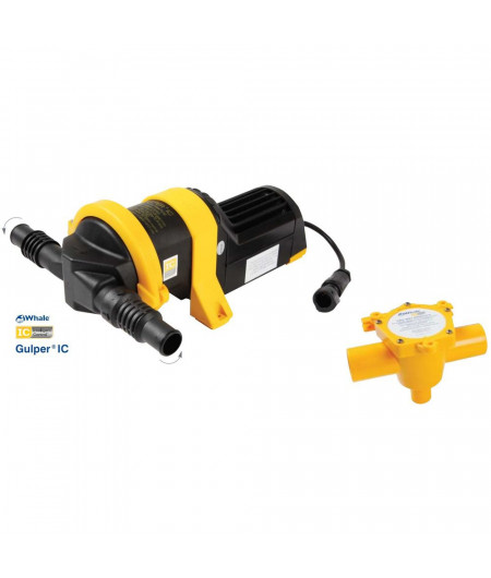 WHALE Gulper IC + collecteur 2 voies 12 V