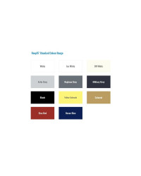 Neop 15 Aérosol bi-composant 250 ml Artic Grey