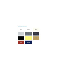 Neop 15 Kit peinture  bi -composant 1 L noir