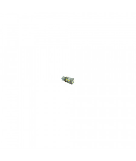 MANTAGUA Ampoule LED BAY15D omni 15W blanc chaud dif. 360°