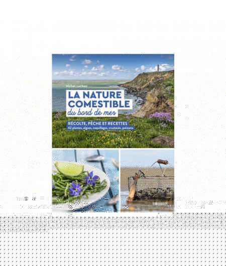 VAGNON La nature comestible du bord de mer