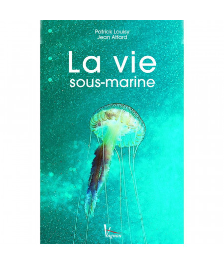 VAGNON La vie sous-marine