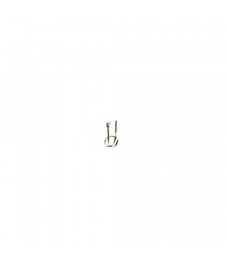 PLASTIMO Longe plate safe 1 mousqueton double sécu