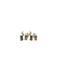 LOFRANS Charbons pour moteur 12V Cayman 1000W (les 4)