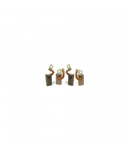 LOFRANS Charbons pour moteur 12V Cayman 1000W (les 4)