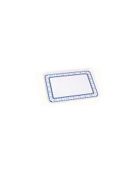 TREM Plateau rectangulaire aqua