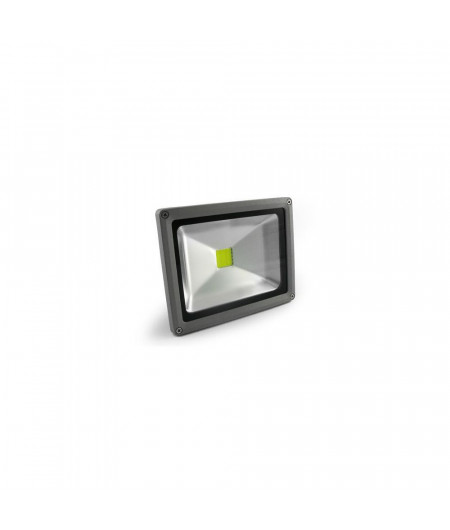 Projecteur de pont à LED 20W (12/24V DC)