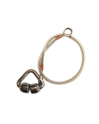 BSI Guide ralingue pour génois