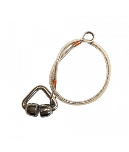 BSI Guide ralingue pour génois