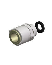 WHALE Quick Connect - adaptateur mâle filetage 1/2''