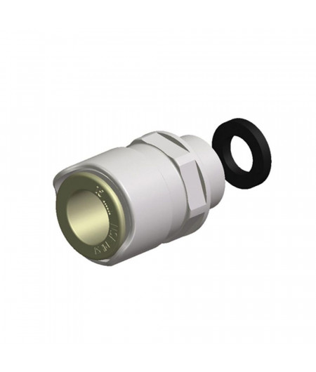 WHALE Quick Connect - adaptateur mâle filetage 1/2''