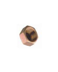 GUIDI Bouchon femelle 3/4' - VRAC