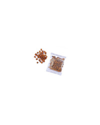 Bouchon Teck 8mm (100)